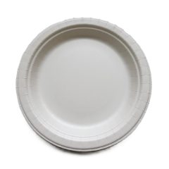 Papír tányér 24 cm cn